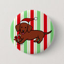 Buscar frankfurt chapas Doxie