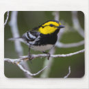 Buscar hábitat alfombrillas de raton Pájaro