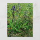 Buscar iris de van gogh postales Flores