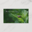 Buscar ladybug tarjetas de visita Escarabajo