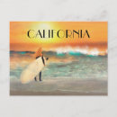 Buscar playas de california postales Surfista