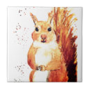 Buscar ardilla azulejos Bosque