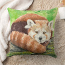 Buscar oso panda cojines Verde