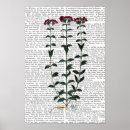 Buscar clavel posters Anticuados