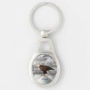 Buscar águilas llaveros Animal