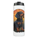 Buscar haitiano casa hogar Perro