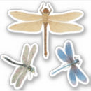 Buscar libélulas manualidades Naturaleza