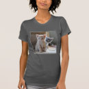 Buscar gato de ojos azules camisetas Fotografía