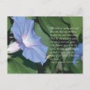 Buscar salomon del rey postales Biblia