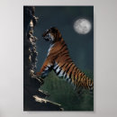 Buscar subida posters Naturaleza