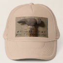 Buscar carpintero gorras Madera