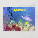 Buscar a pescado postales Peces tropicales