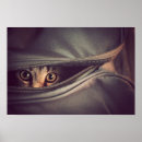 Buscar mirada posters Animal