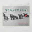 Buscar huskie postales Nieve