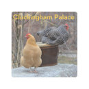 Buscar gallina arte Para todos