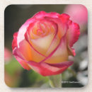 Buscar placer fotografía Flores