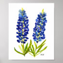 Buscar bluebonnets posters Texas