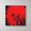 Buscar fondo rojo lienzos Floral