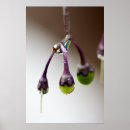 Buscar drip arte Goteo