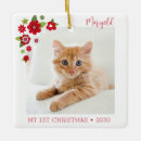 Buscar cat adornos Verde