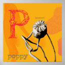 Buscar amapola blanca posters General y unisex