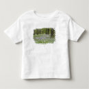 Buscar campanilla camisetas Roble