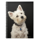 Buscar westie libretas Perro
