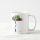 Buscar sapo café tazas Diversión