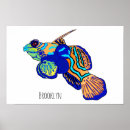 Buscar peces de agua salada posters Mandarina