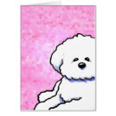 Buscar frise del bichon Frito