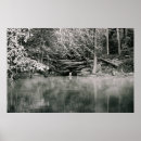 Buscar cascada del bosque posters Lago