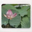 Buscar molino alfombrillas de raton Viaje