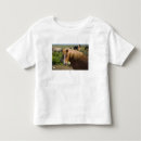 Buscar equus camisetas Vida silvestre
