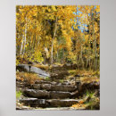 Buscar escaleras de madera posters Bosque
