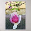 Buscar ladrillo arte Rosa