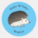 Buscar hedgehog pegatinas Para niños