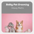 Buscar rosa y gris pegatinas Negocio