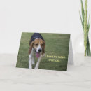 Buscar beagles tarjetas General y unisex