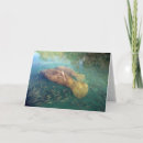 Buscar manatee tarjetas Fotografía