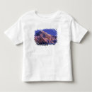 Buscar denali camisetas Alpino