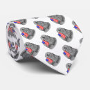 Buscar flag corbatas Usa