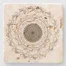 Buscar natura posavasos Floral