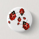 Buscar ladybug chapas Insectos
