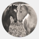 Buscar caballo del amor pegatinas 6 º caballito