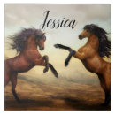 Buscar ecuestres azulejos 6 º caballito