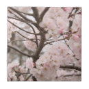 Buscar japanese fotografía Sakura
