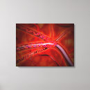 Buscar medicina lienzos Ilustraciones