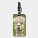 Buscar alpaca etiquetas para maletas 1 ª presa