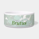 Buscar maidenhair Naturaleza
