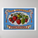 Buscar cultivador posters 8 º fruta